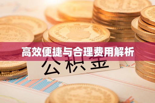 滴道高效便捷与合理费用解析
