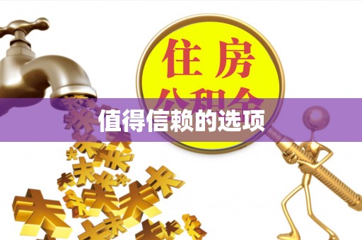 滴道值得信赖的选项