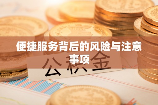 滴道便捷服务背后的风险与注意事项