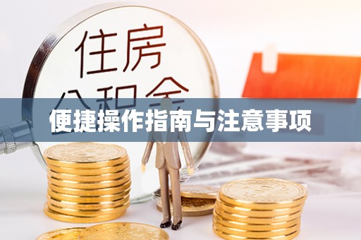 滴道便捷操作指南与注意事项